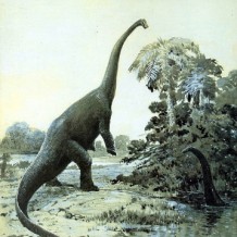 the truths of life and love in a rectangle, several pixels high